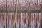 ricordo di una piena... ricordo di una piena...