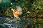 Luce sulla Pesca Luce sulla Pesca