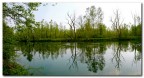 lanca del ticino, lanca del ticino,