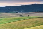 Prime luci dell'alba.. campagna di Orciano Pisano. Prime luci dell'alba.. campagna di Orciano Pisano.