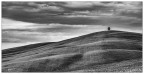 Il piccolo solitario.. Il piccolo solitario..