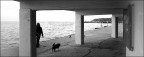 Trieste Barcola Trieste Barcola