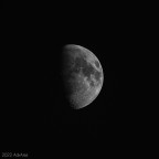 Summer Half Moon 2022 Summer Half Moon 2022