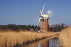 Thurne, Norfolk, March 2022 Thurne, Norfolk, March 2022