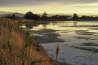 Oasi, il respiro della sera Oasi, il respiro della sera