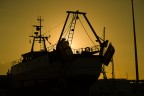 tramonto tramonto