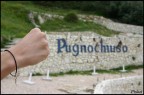 Pugno Pugno