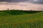 toscana2 toscana2