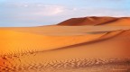 Deserto libico Deserto libico