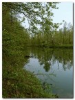 natura silenziosa natura silenziosa