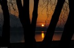 Alba tra gli Alberi Alba tra gli Alberi