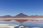 Bolivia 2019. Laguna Colorada