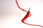 rosso peperoncino rosso peperoncino