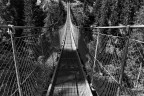 Suspension Bridge | Rabby Valley