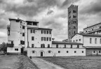 Il campanile di San Martino.. Lucca Il campanile di San Martino.. Lucca