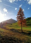 Autunno sulle Dolomiti 2 Autunno sulle Dolomiti 2