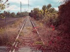 Abandoned railway Abandoned railway
