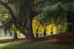 Al Parco Al Parco