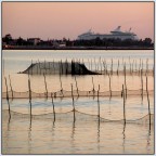 S.t. S.t.