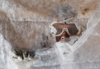 o l o o l o