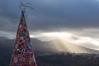 l'albero magico l'albero magico