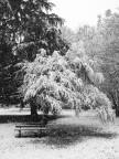 L'ultima nevicata L'ultima nevicata