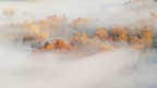 Autunno tra le nebbie Autunno tra le nebbie