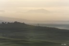 Leggere foschie del mattino..Val d'Orcia 24-12-22 Leggere foschie del mattino..Val d'Orcia 24-12-22