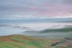 Prime Foschie del mattino. Lajatico Prime Foschie del mattino. Lajatico