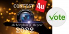 Contest 1017 la nostra foto migliore del 2022 IN VOTAZIONE