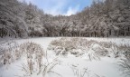 ...è arrivata la neve! ...è arrivata la neve!