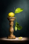 The King Lemon The King Lemon
