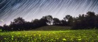 Fireflies Fireflies