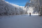 da soli tra la neve da soli tra la neve