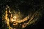 Nel Bosco Fatato Nel Bosco Fatato