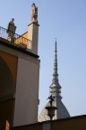 colossi colossi
