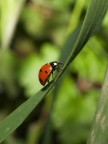 La vita è tutta in salita La vita è tutta in salita