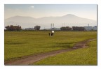 ParcoAcquedotti_RM_Feb2023_4 ParcoAcquedotti_RM_Feb2023_4