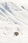 SNOW SNOW