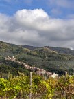 tra il cielo e la vigna
