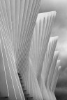 Calatrava Calatrava