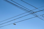 un minimalismo surreale un minimalismo surreale