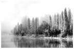 Nebbia Nebbia