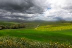 Spring Spring