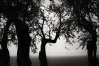 Sotto la Pioggia di Primavera Sotto la Pioggia di Primavera