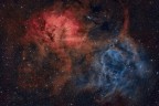 La nebulosa SH 2-132 (Lion nebula), nella costellazione del Cefeo. Ripresa col Celestron RASA 8 e la ASI 183-MC-Pro. E' una bellissima nebulosa ad emissione di idrogeno ionizzato e ossigeno doppiamente ionizzato, distante circa 10.000 anni luce da noi. L'immagine � il risultato dell'integrazione di 40 scatti da 5 minuti ciascuno, ripresi con filtro a doppia banda stretta (Ha + OIII) IDAS NBZ e 30 scatti da 10 secondi ciascuno, in banda larga con filtro anti inquinamento Optolong L-Pro