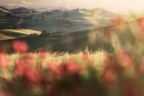 Marche d'incanto Marche d'incanto