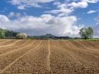 segnaletica orizzontale II segnaletica orizzontale II