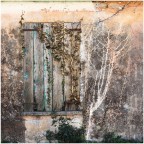 tracce di una vita...