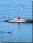 Faro Faro